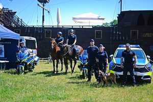 Zdjęcie grupowe policjantów wraz z patrolem konnym oraz psem służbowyem.