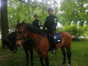 Policjanci na koniach służbowych w parku