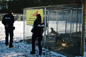 Policjanci witający się z psami znajdującymi się w schroniskowych boksach.