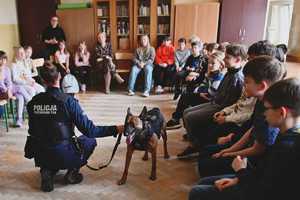 Przewodnik psa podczas prelekcji z uczniami.