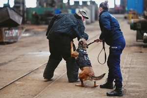 Przewodnik z psem podczas ćwiczenia agresji.