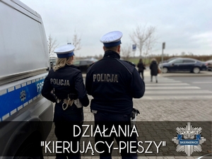 Policjanci stojący obok przejścia dla pieszych.