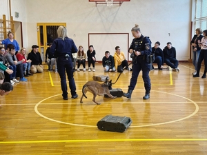 Pasja podczas ćwiczenia szukania.