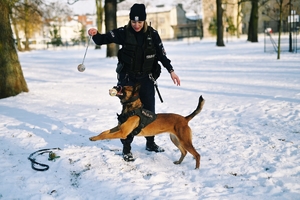 Policjantka z psem służbowym.