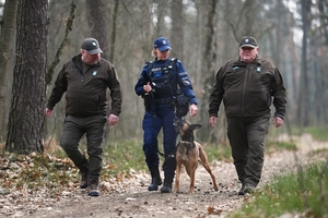 Policjantka wraz z psem służbowym i Strażnikami Leśnymi w kompleksie leśnym.