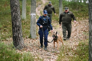 Policjantka wraz z psem służbowym i Strażnikami Leśnymi w kompleksie leśnym.