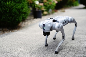 Zdjęcie psa-robota, którego stworzył Janusz Będkowski.