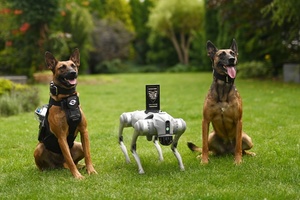 Dwa psy należące do Edyty Mądrzyckiej oraz pies-robot.
