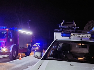 Wszystkie pojazdy służb pracujących na miejscu. Policja, Straż i Pogotowie Energetyczne.