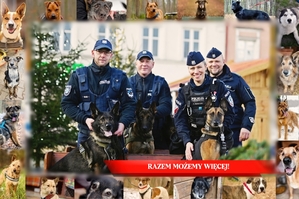 Przewodnicy Psów Służbowych wraz z czworonogami.