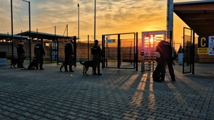 Przewodnicy psów służbowych przy stadionie.