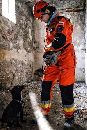 Przewodnicy podczas pracy na gruzowisku.