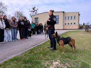 Przewodnik psa policyjnego.