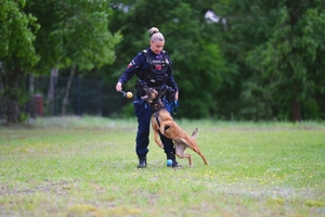 Pies z policjantką podczas zabawy.