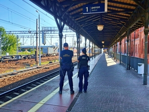 Funkcjonariusze na wspólnej służbie.