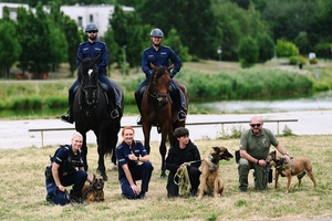 Patrol konny wraz z przewodnikami psów służbowych.